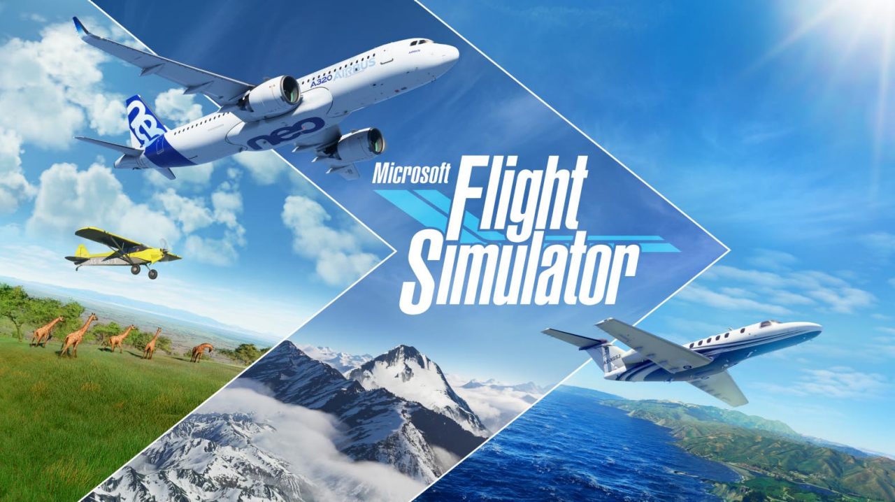 Microsoft Flight Simulator