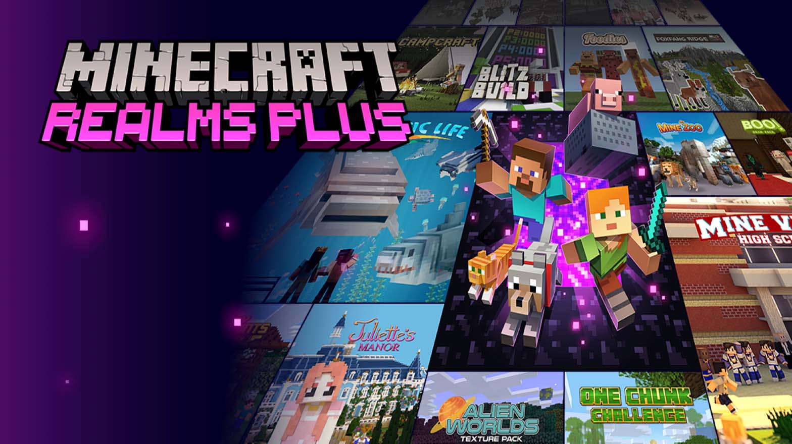 Minecraft Realms Plus