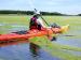 Nuisance level filamentous algae bloom occurring on a river. Photo Credit: USGS