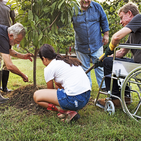 group of people planting a tree