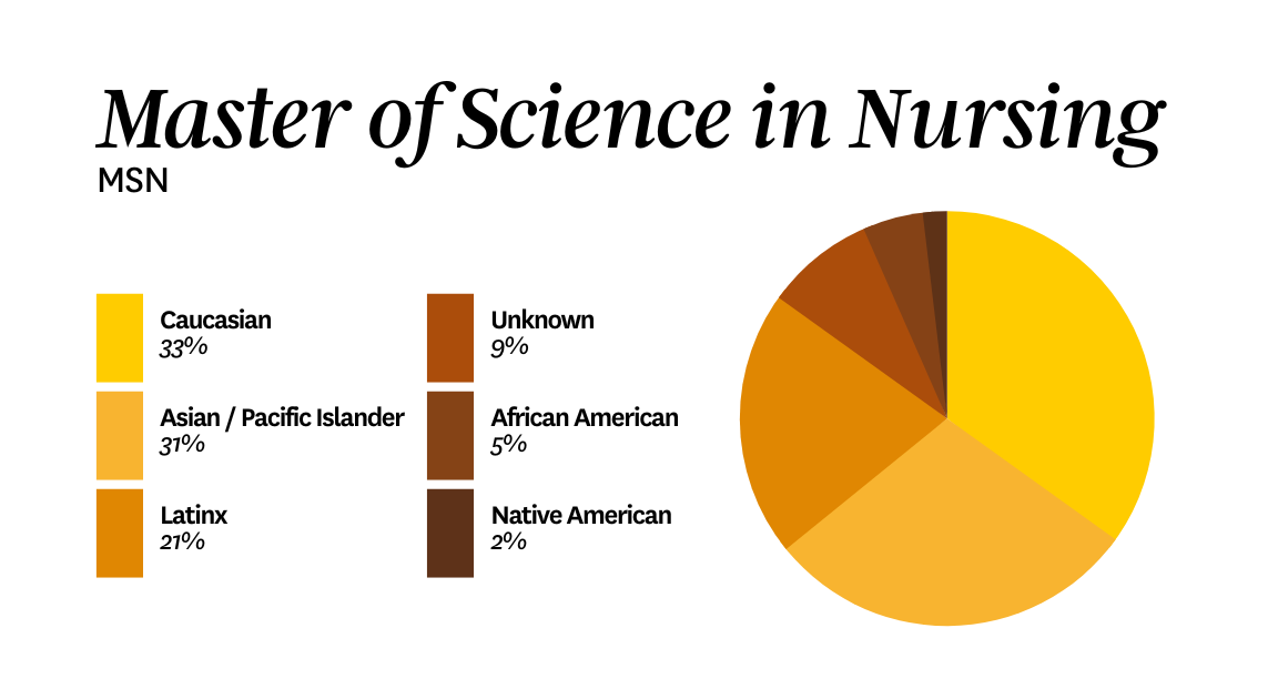 Master of Science in Nursing chart shows a breakdown of student demographics in the MSN program.