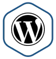 WordPress Multisite logo