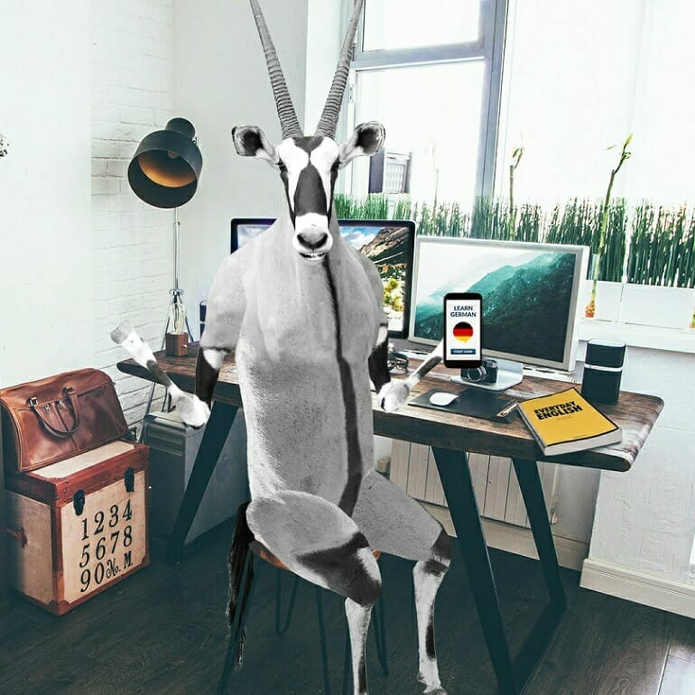 A human-like oryx sits at a desk in a modern office setup with two computer monitors, a laptop, and various office items, showcasing the dynamic environment of Spryker careers.