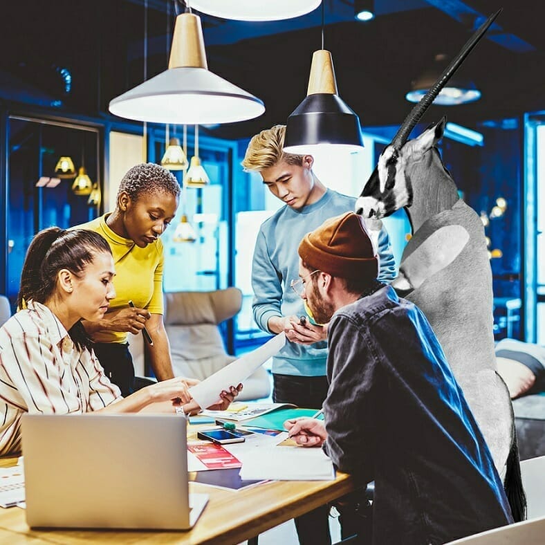 A diverse group of people and a unicorn are collaborating around a table in a modern, well-lit office space, illustrating the innovative spirit of Spryker Careers. Papers and laptops are spread out on the table.