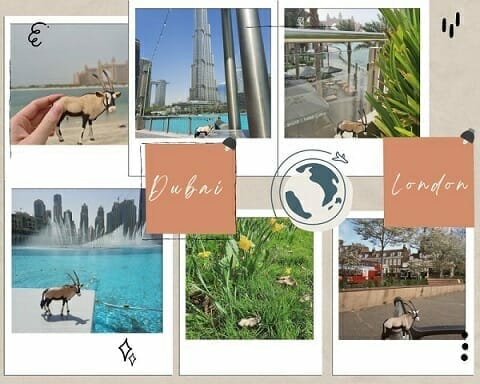 A collage of photos featuring a small goat figurine in various locations, including Dubai and London, with landmarks like the Burj Khalifa and other cityscapes in the background, embodying the adventurous spirit that aligns perfectly with Spryker careers.