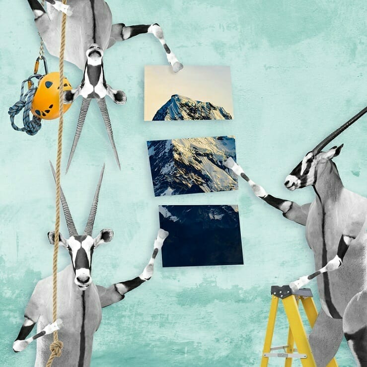 Three anthropomorphic oryx arrange mountain photos on a teal wall; one climbs a rope with a helmet while another stands on a ladder, reminiscent of the teamwork fostered in Spryker careers.