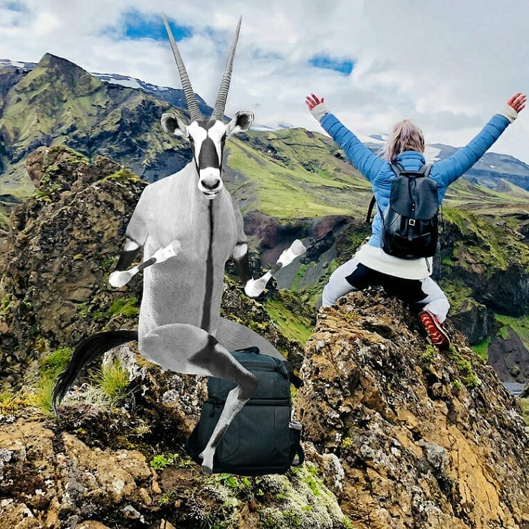 A person sitting on a rocky ledge raising their arms in excitement next to an anthropomorphic oryx with a backpack in a mountainous landscape, embodying the adventurous spirit found at Spryker Careers.