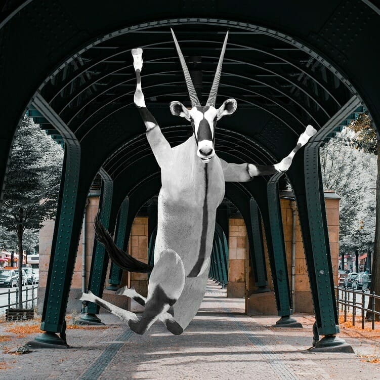 A gemsbok antelope is digitally altered to appear as if it is doing a ballet jump under an urban steel archway with trees and a street visible in the background, reminiscent of the agility and dynamism celebrated at Spryker careers.