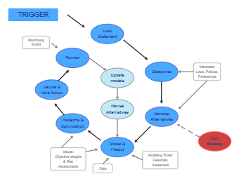 Structured Decision Making Framework