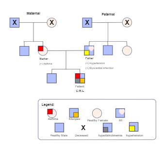 Family Health History Chart