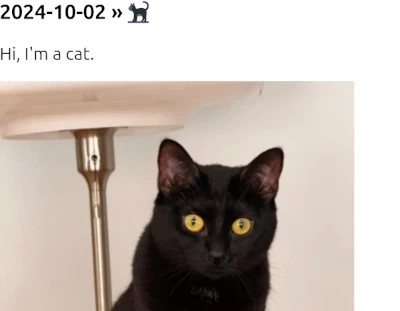 Screenshot of the blog's first entry, which is a photo of my black cat Dr. Mae