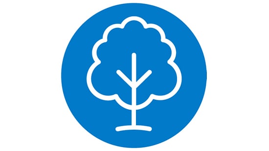 Tree Icon