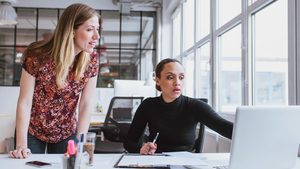 female executives working together on a project in an office