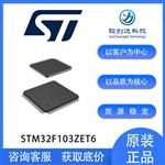 STM32F103ZET6 微控制器 IC 