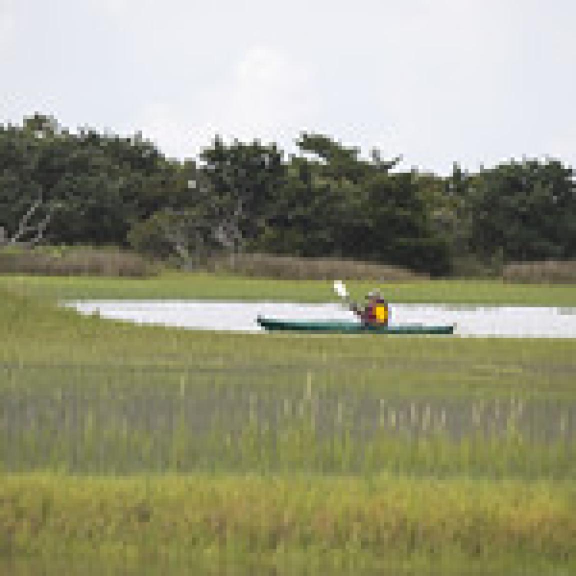 Rachel Carson kayak