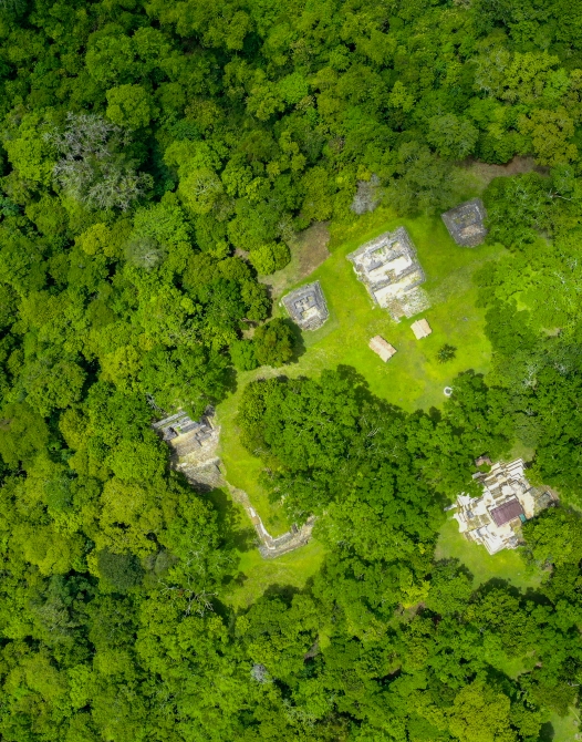 Drone shot of Mayan ruins in a forest