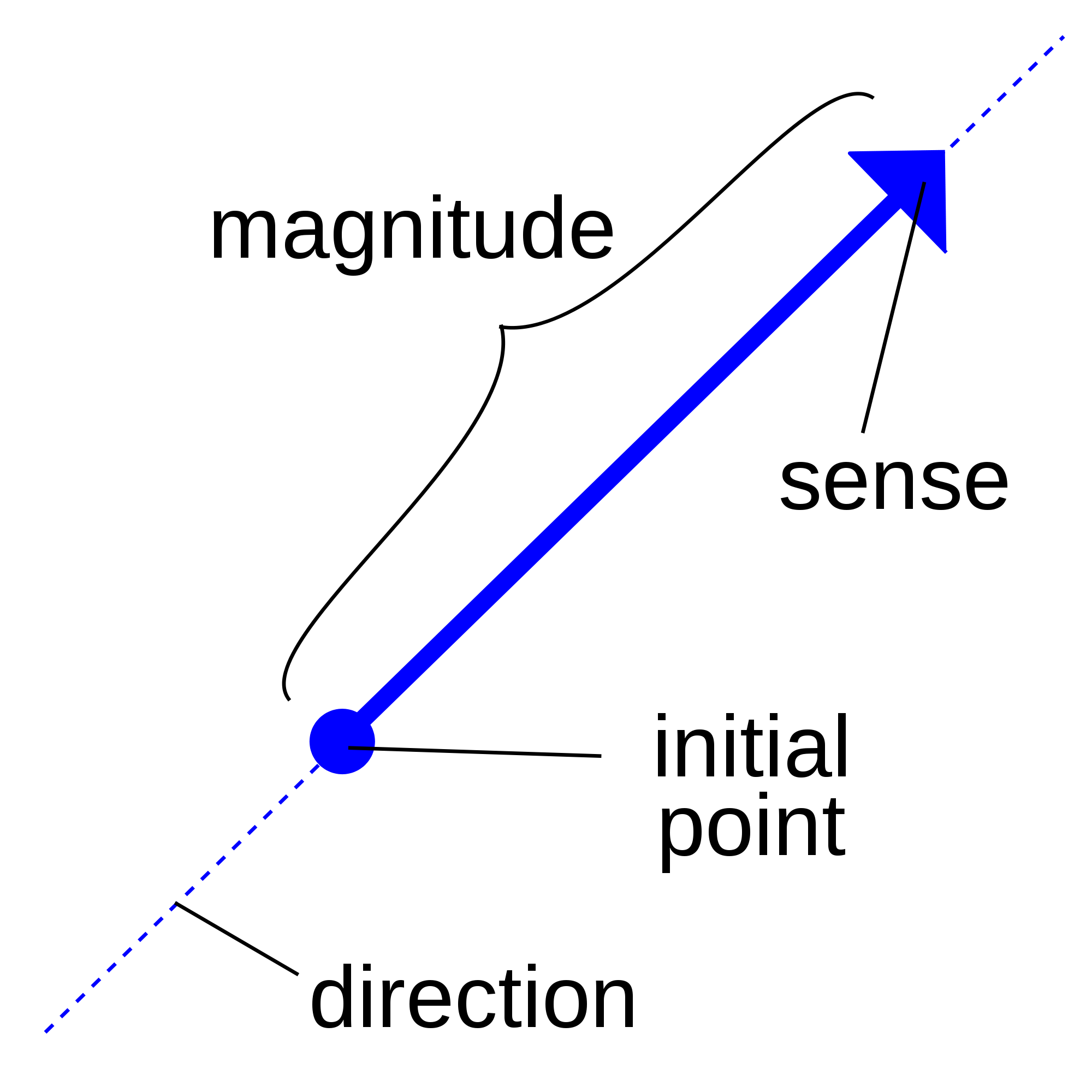 An image of a vector with its different properties.