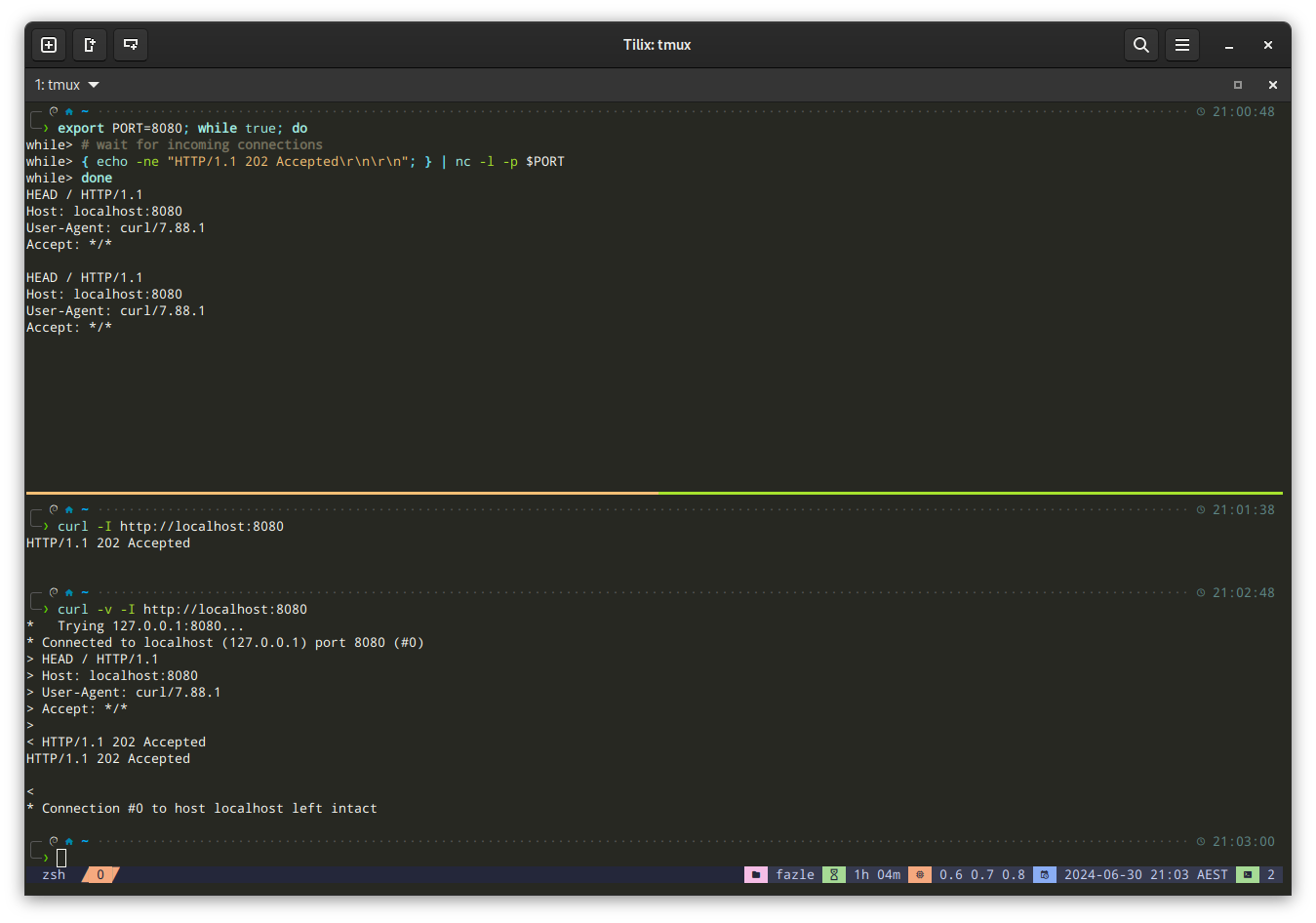 p10k-zsh-theme-tmux