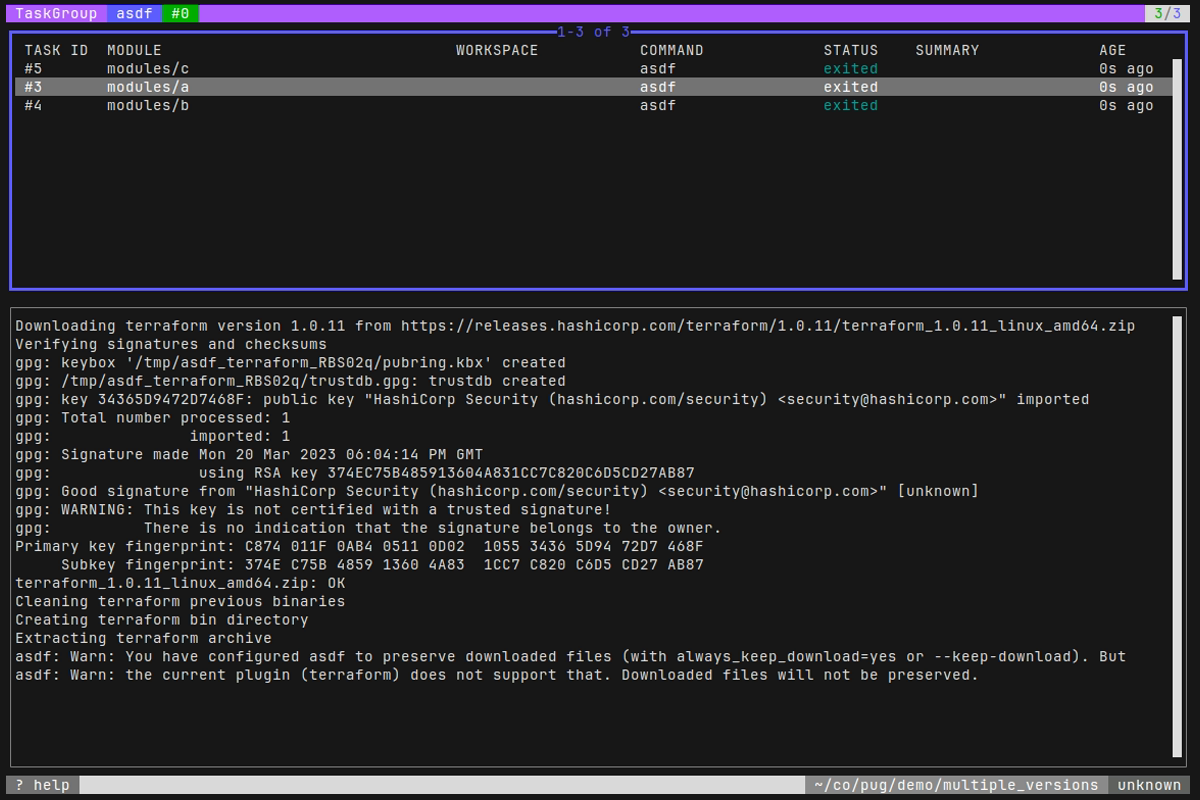 Executing asdf install terraform in each module