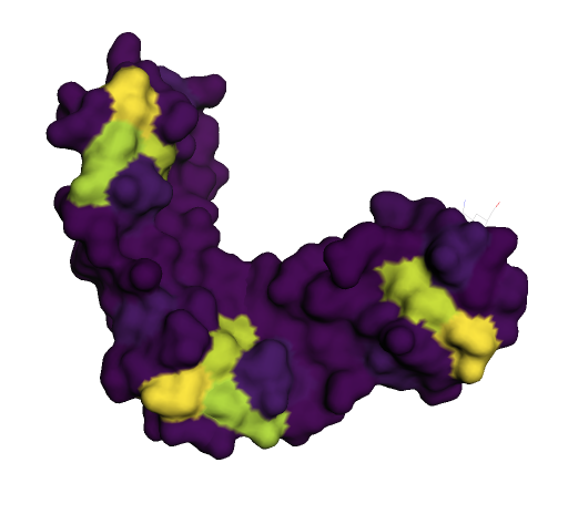 Antifreeze protein (PDB 3OTM)