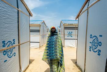 Hundreds of thousands of people have been displaced  in north-east Nigeria.