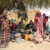 New arrivals in Gubio Camp in Maiduguri, Nigeria, following the December 2018 attack in Baga. As the camp doesn't have enough shelters, people are sleeping on mats under trees.