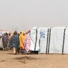 Gubio Camp in Maiduguri has received 4,500 new arrivals since November 2018, many of them in recent weeks following an attack by non-state armed groups in Baga, near the shores of Lake Chad, in north-east Nigeria.