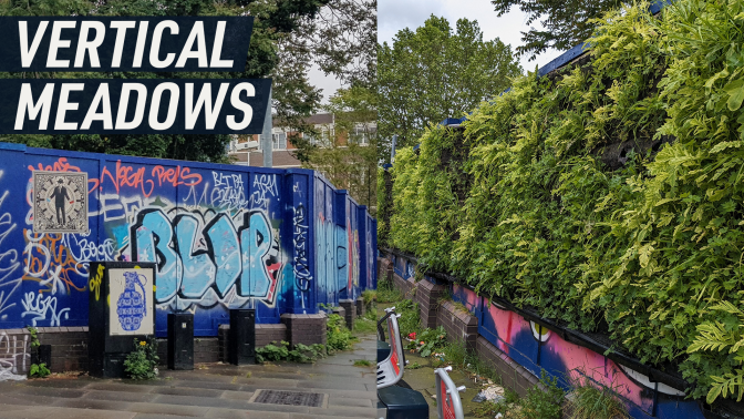 A split-screen shows two photographs of a construction hoarding – before and after the vertical meadow grew on it. Caption reads: "Vertical meadows"