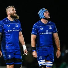  Leinster players RG Snyman and Will Connors