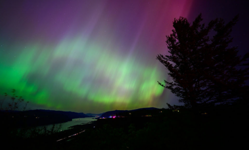 The Northern Lights are seen above the Columbia River Gorge from Chanticleer Point Lookout in the early morning hours of May 11, 2024 in Latourell, Oregon.