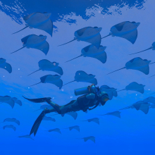 Player character swimming with school of rays in Endless Ocean Luminous