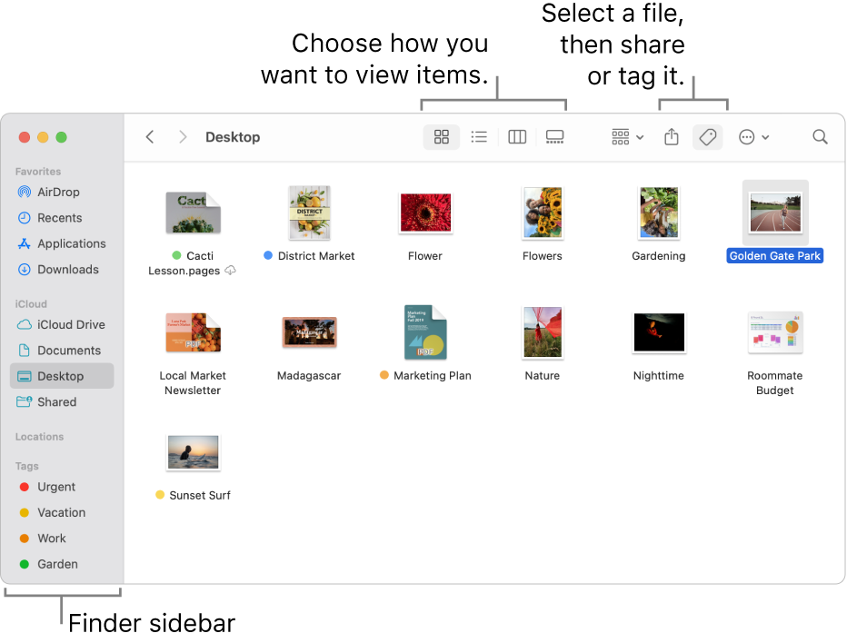 A Finder window with the Finder sidebar on the left. At the top of the window are four buttons that change the way items are shown in the window, and additional buttons for organizing and sharing items.