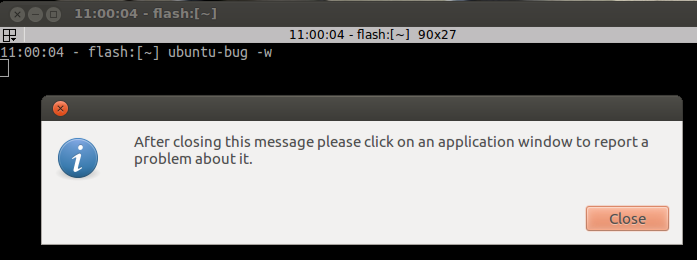 terminal with ubuntu-bug -w
