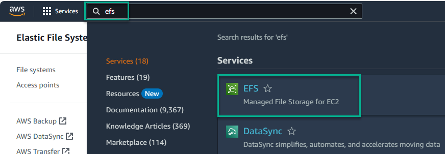 Search for the EFS service