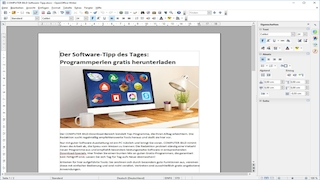 Screenshot aus OpenOffice