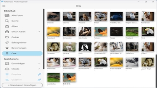 Screenshot aus Ashampoo Photo Organizer