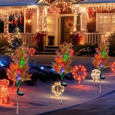 christmas lights decorate the front yard of a house