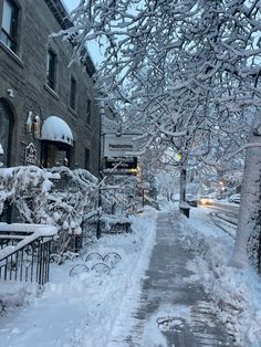 a snowy street lined with buildings and trees