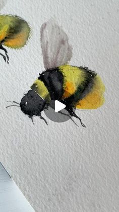 Kanchan Kaul on Instagram: "Cute little 🐝 
.
.
.
#watercolor_gallery
#watercolorlove
#illustrationsketch
#watercolor_daily 
#illustration_best
#watercolorart
#worldwatercolorgroup
#artjournal
#floralsyourway
#botanicalart
#watercolors
#botanicalartlovers
#aquarelle
#Watercolorflower
#watercolor_Painting
#sketchbooktour
#acuarela
#flowerpainting
#watercolorbeginner
#watercolorsketchbook
#worldwatercolormonth
#botanicalpainting
#kanchankaulbrushes
#watercolorpainting"