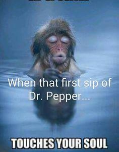 a monkey swimming in the water with caption that reads, when that first sip of dr pepper touches your soul