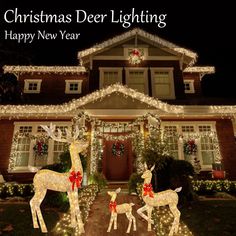 two deers are standing in front of a house decorated with christmas lights