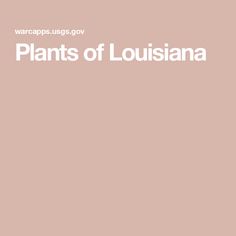 the words plants of lousianna are in white letters on a pink background with an image