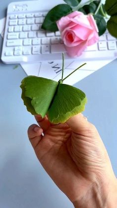 a person holding a small green leaf in front of a keyboard and pink roses on the desk