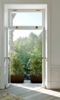 an open door leading to a balcony with potted plants on the outside and trees in the background