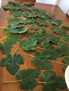 several large green leaves laying on a wooden table