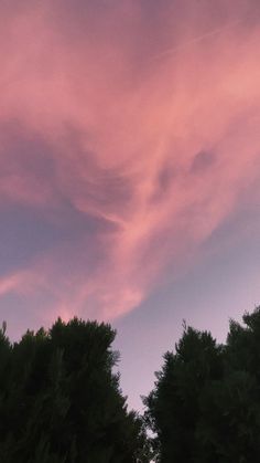 the sky is pink and purple with some clouds above trees in the foreground at dusk