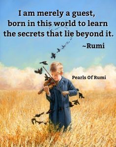 a painting of a boy playing violin in a field with birds flying around him and the caption reads, i am merly a guest, born in this world to learn the secrets that lie beyond it rumi