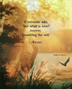 a woman standing in front of a lake with a bird flying over her head and the words, if someone asks, but what is love? answer, dissoving the will