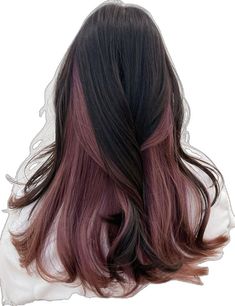 Aesthetic Hair Highlight Ideas, Colour Highlights Hair, Colors That Look Good With Black Hair, Pink Hair Ideas For Black Hair, Hair Highlights Ideas For Black Hair, Aesthetic Hair Ideas Color, Black Hair With Hidden Color, Peekaboo Hair Color For Asian, Black Hair Pastel Highlights