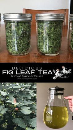 four jars filled with green tea sitting on top of a wooden table next to leaves